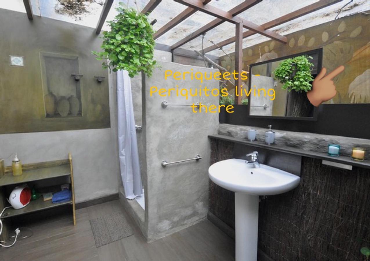 Studio Mazo The Glamping Lodero Eksteriør billede